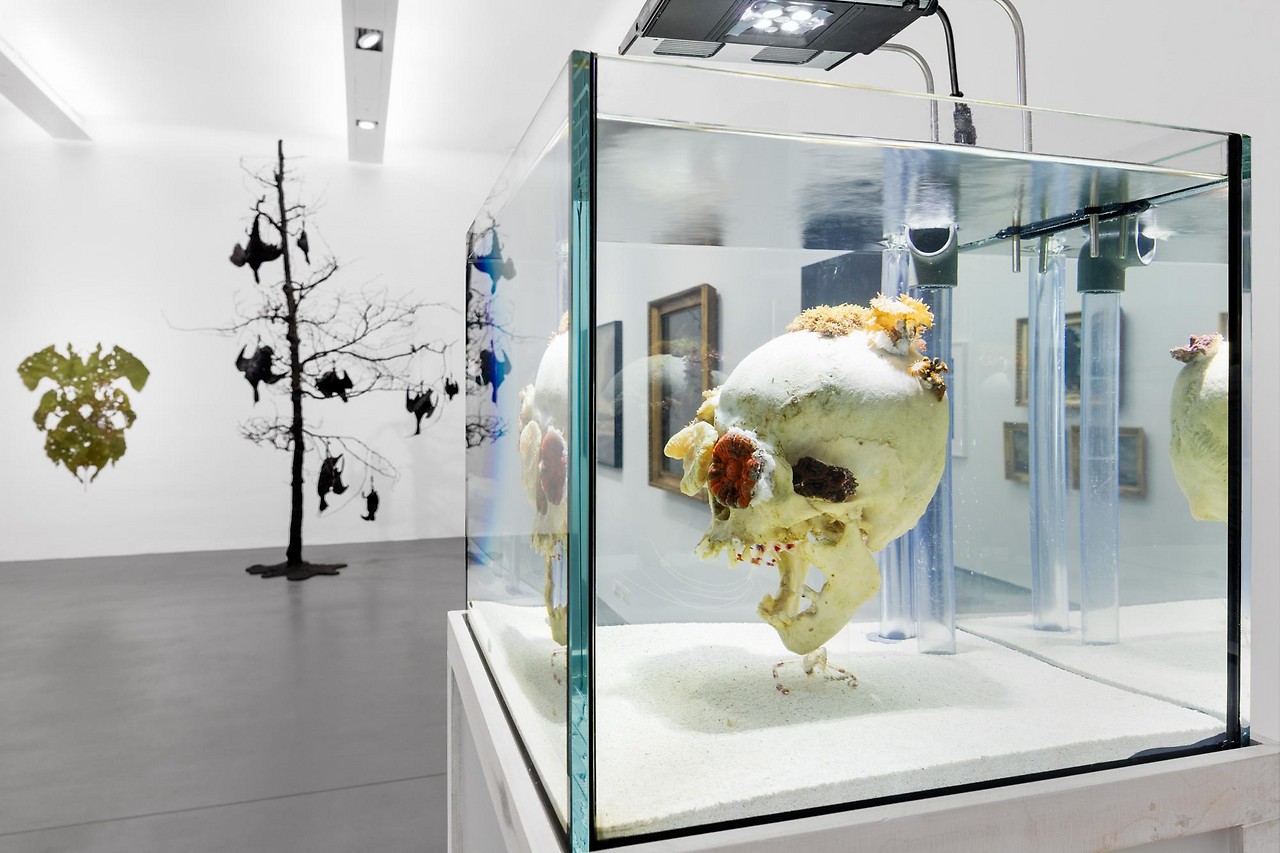 Raumansicht der Ausstellung „Fragile Schöpfung“ im Dom Museum Wien