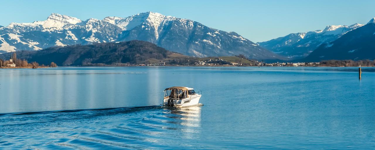 Planktonnetzwerke in Schweizer Seen bedroht