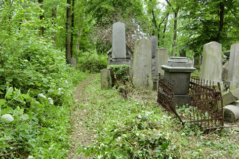 Pflege des jüdischen Friedhofs Währing