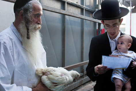 Orthodoxe Muslime mit Huhn vor einer rituellen Schlachtung