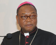 Der nigerianische Kardinal John Onaiyekan.