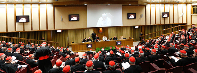 Kardinäle bei Versammlung mit Papst Franziskus