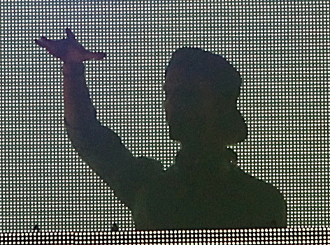Avicii live auf der Bühne als Schatten in der Wiener Krieau