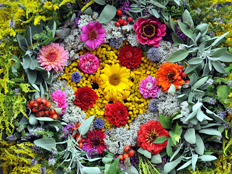 Kräuter- und Blumenbusch für Mariä Himmelfahrt