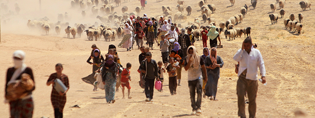 Flüchtlinge mit Schafen in der Wüste