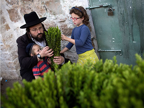 Ein Mann prüft mit seinen zwei Kindern einen Myrthenzweig auf einem Markt in Jerusalem