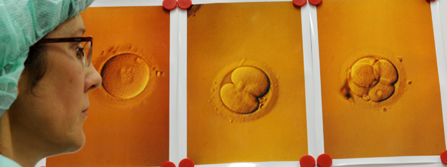 Frau in Laborkleidung betrachtet Bilder von Eizellen und Spermien