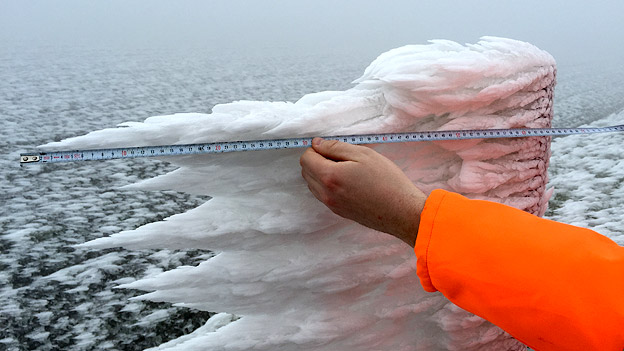 Eine über 60cm lange Eisfahne
