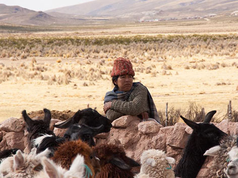 Die Menschen im bolivianischen Hochland leben von Ackerbau und Viehzucht