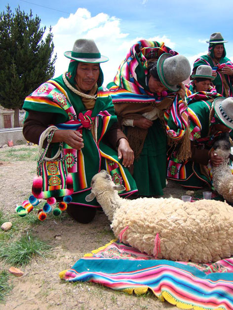 : Rund um den Dreikönigstag werden vor der Kirche von San Pedro de Totora zwei Schafe geschlachtet als Opfergabe an die Pachamama
