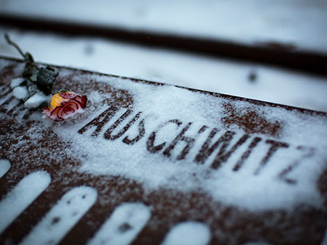 Auschwitz- Schriftzug mit verwelkter Rose