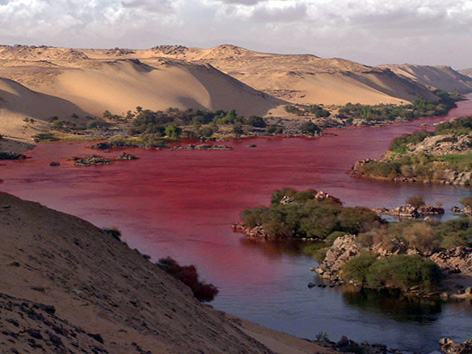 Roter Nil
