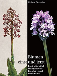 Cover zum Buch "Blumen einst und jetzt"