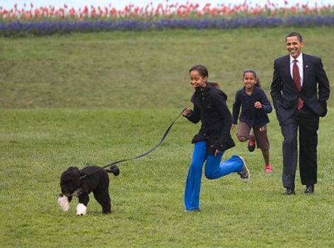 Barack Obama und seine Töchter gehen mit Hund Bo spazieren
