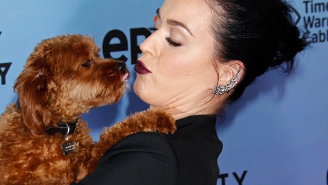 Katy Perry und ihr Hund Butters