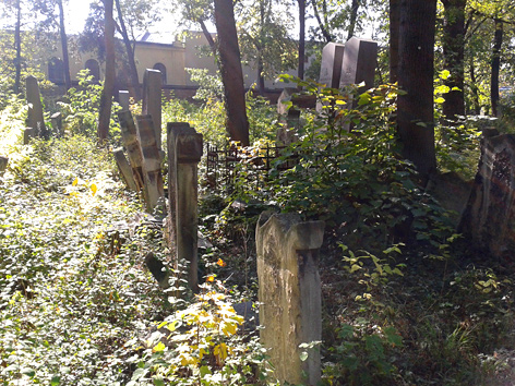 Grabsteine auf dem Jüdischen Friedhof in Wien-Währing