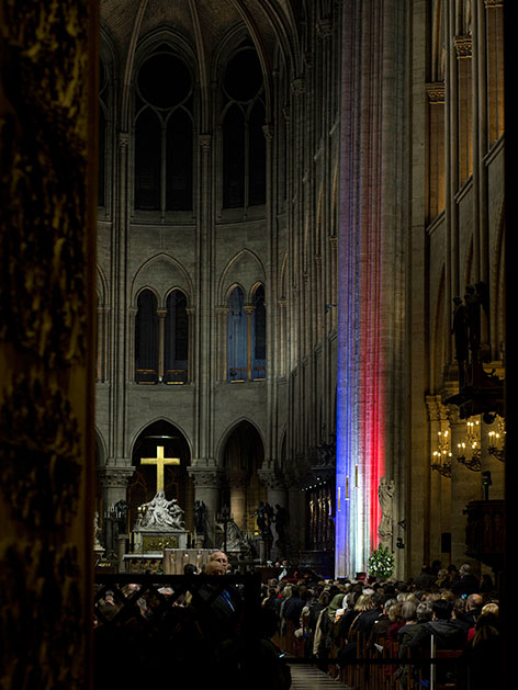 In den französischen Nationalfarben beleuhcteter Teil der Kathedrale Notre Dame