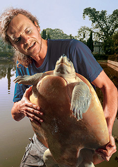 Peter Praschak mit einer Schildkröte (Batagur Baska)