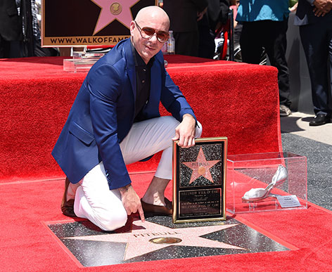 Pitbull mit seinem Stern auf dem Walk of Fame