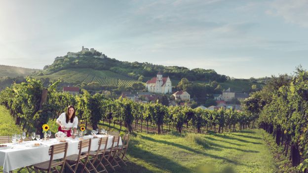 Weingarten in der Wachau in Niederösterreich - Frau baut Festtafel im Weingarten auf