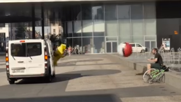 Virales Video: Pikachu schlägt zurück