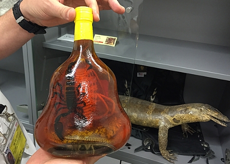 eine Flasche Schlangenwein mit einer einglegten Cobra und einem Skorpion