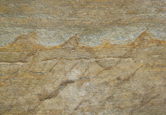 Verräterische Linie in Urgestein: Die ältesten Fossilien der Welt?