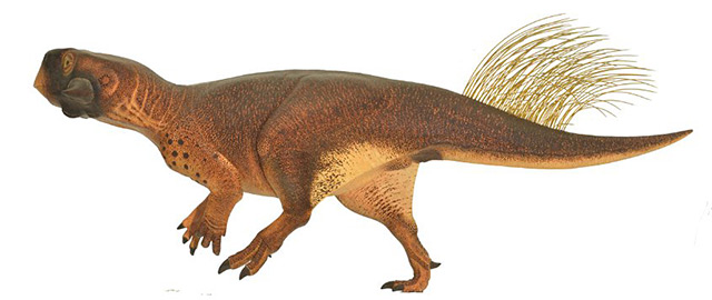 Rekonstruktion Psittacosaurus