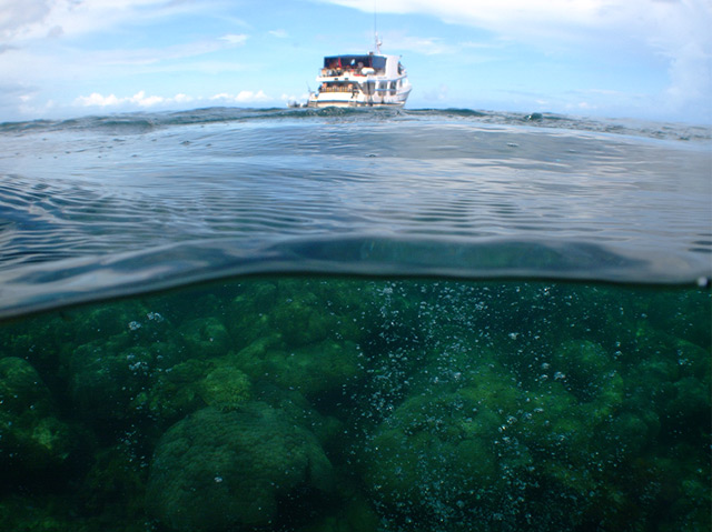 Kohlendioxid-Austrittsstelle im Riff von Milne Bay Provinz, Papua Neuguinea