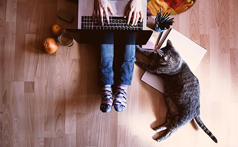 Frau mit Laptop und Katze