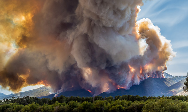 Waldbrand in den USA