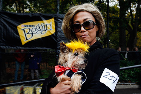 Als Donald Trump verkleideter Hund und Besitzerin im Hilary-Kostüm bei der Halloween Dog Parade