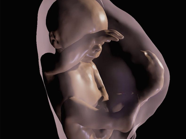 Virtuelles 3-D-Bild eines Babys