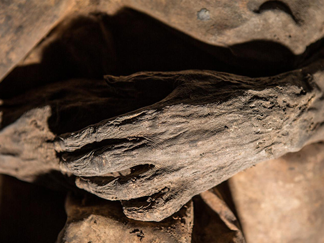 Eine Mumie aus jener Kirche in Litauen, unter der auch die Kindermumie entdeckt wurde