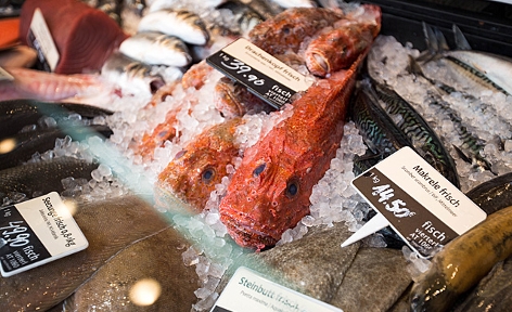 Frische Fische lagern auf Eis auf dem Wiener Nachmarkt