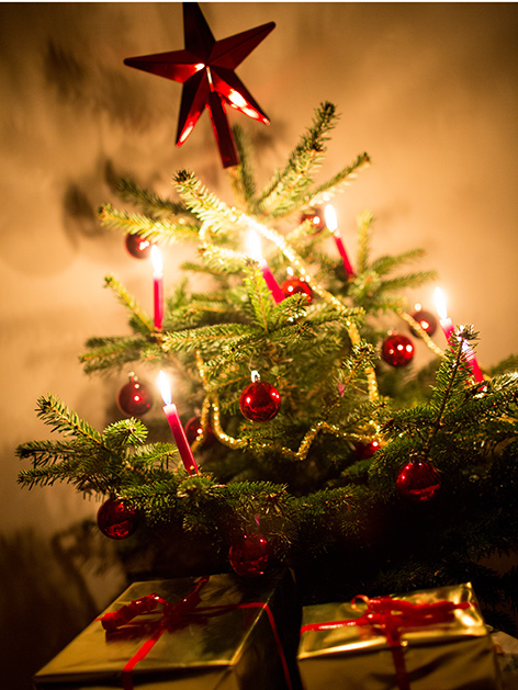 EIn Christbaum mit brennenden Kerzen und goldenen Weihnachtsgeschenken