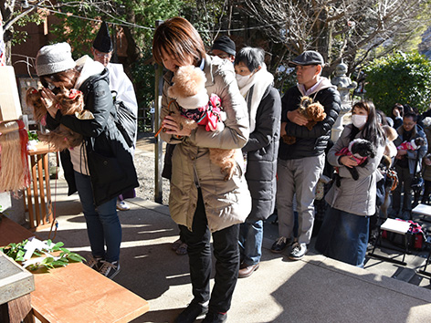 Tiersegnungen im Shinto-Schrein