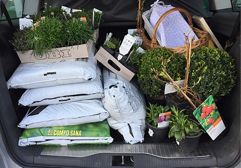 Säcke mit Blumenerde und Pflanzen im Kofferraum eines Autos