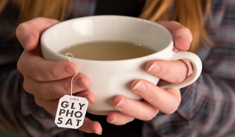 Tee in Tasse mit Glyphosat