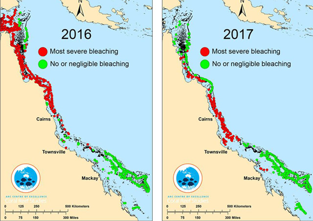 Grafik, die Korallenbleiche von 2016 und 2017 vergleicht