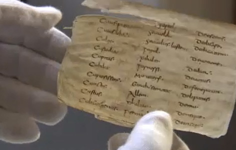 Forscher hält ein Fragment der Schriftstücke in der Hand