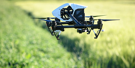 Drohne um Rehe zu finden