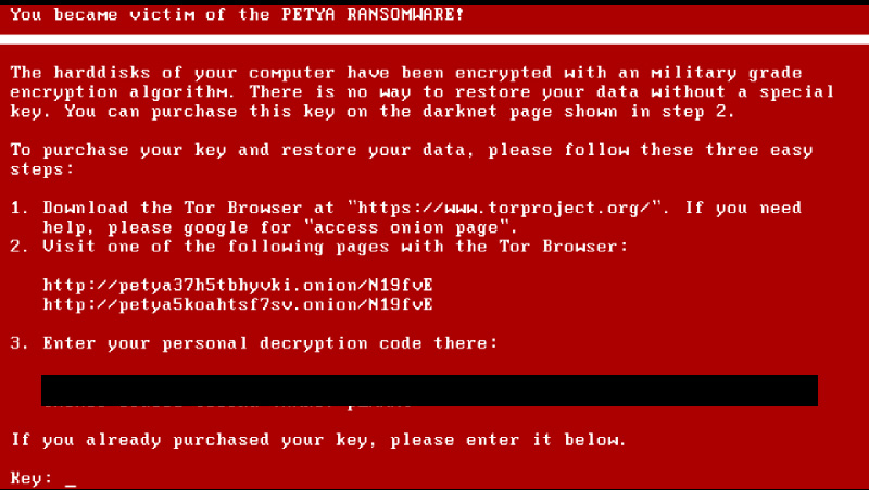 Petya Screenshot