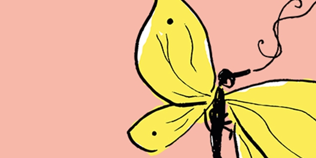 Illustration zweier Insekten