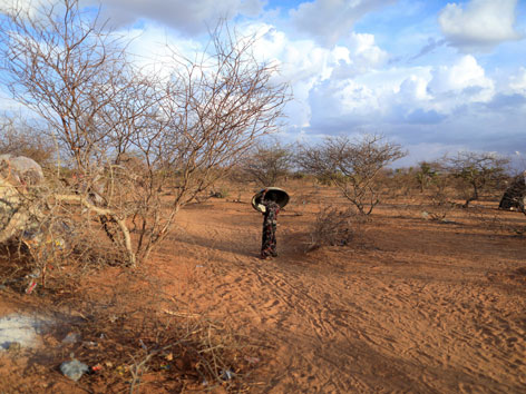 Trockene Landschaft in Somalia