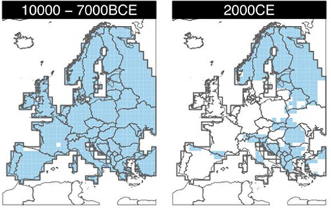 Verbreitung des Braunbären in Europa, 10.000 -7.000 v.Chr. und im Jahr 2000