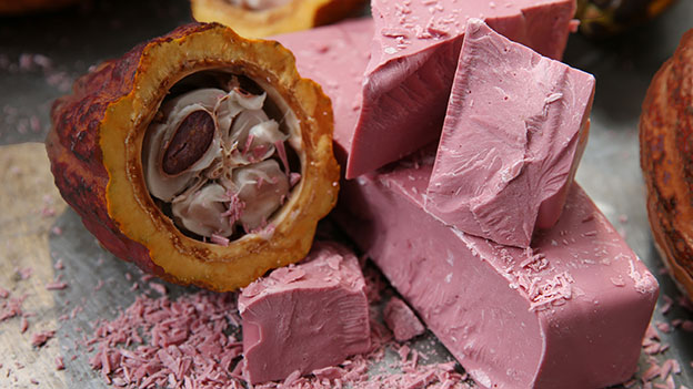 Rosa-rote Schokoladen-Stücke neben einer Kakaobohne.