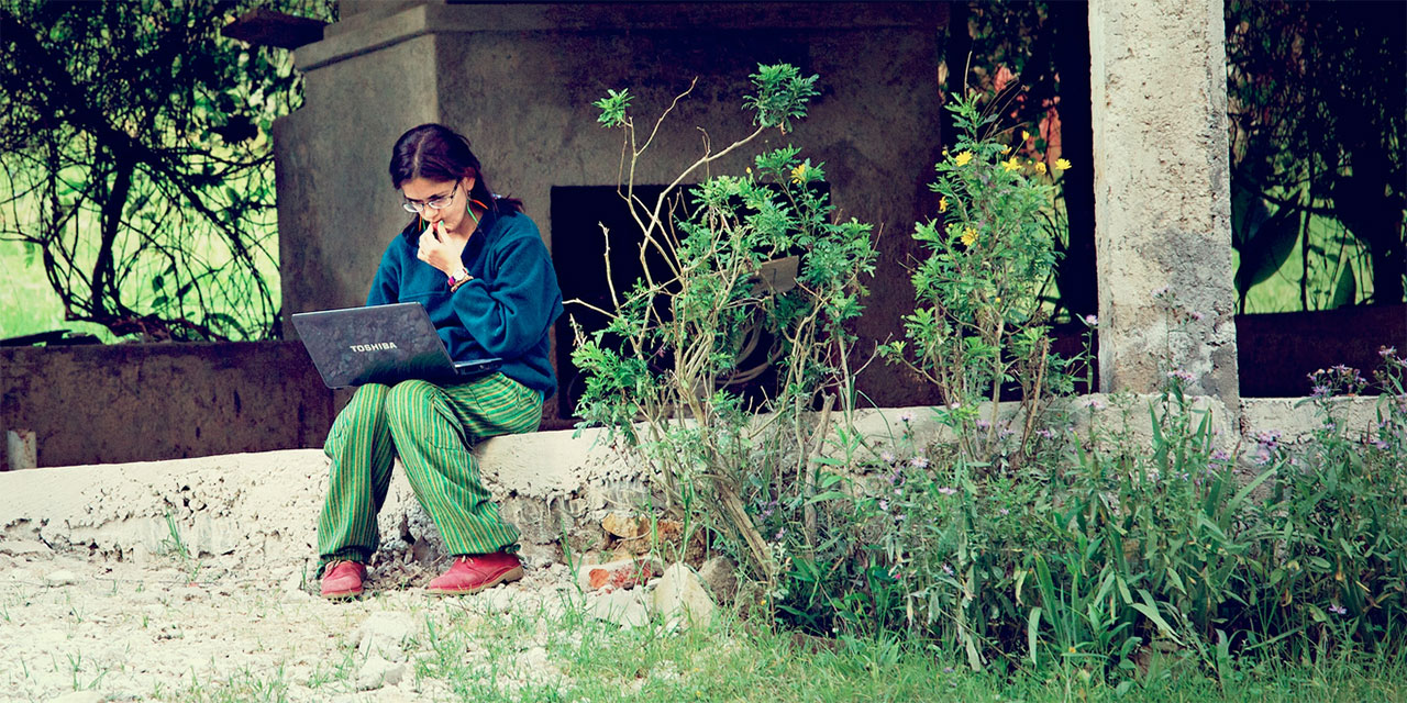 Frau sitzt auf Mauer im Grünen mit Laptop