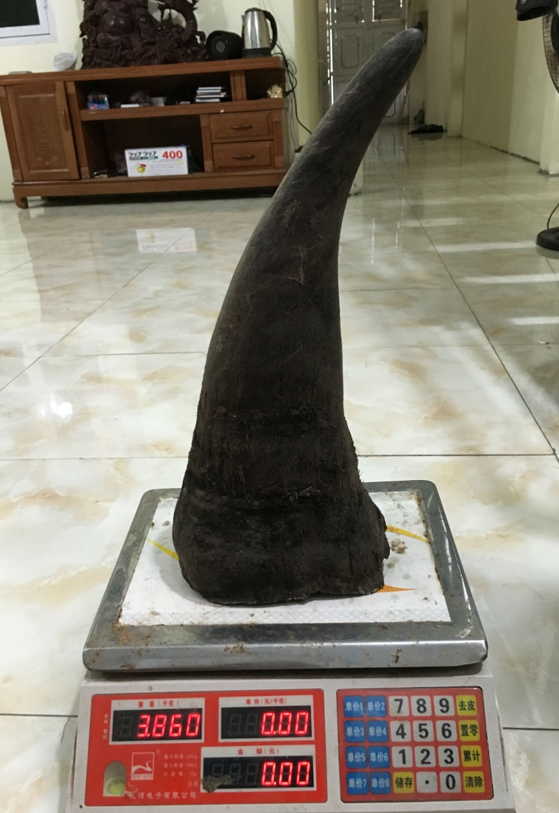 A rhino horn