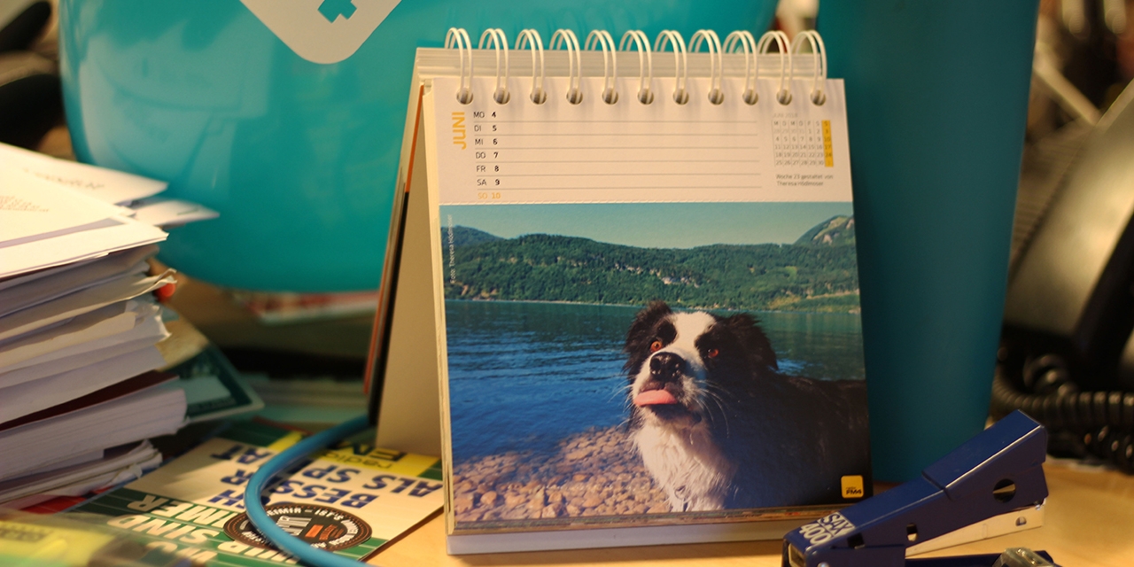 Hundefoto im Kalender